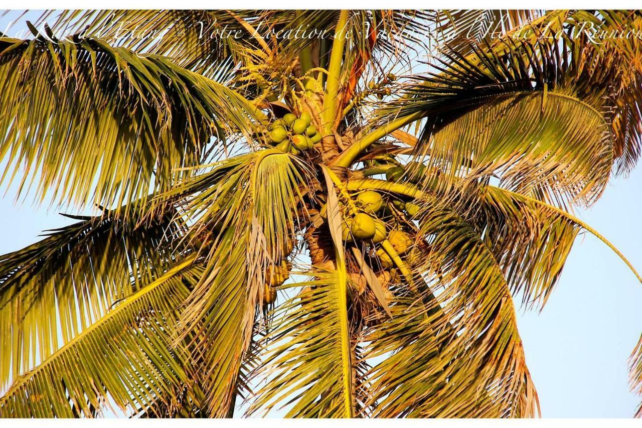 La Kaz A L'Etang - Votre Location De Vacances A L'Ile De La Reunion Сен-Луи Экстерьер фото