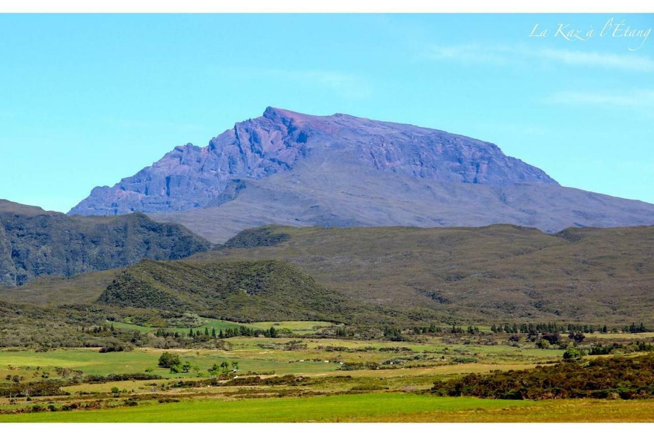 La Kaz A L'Etang - Votre Location De Vacances A L'Ile De La Reunion Сен-Луи Экстерьер фото