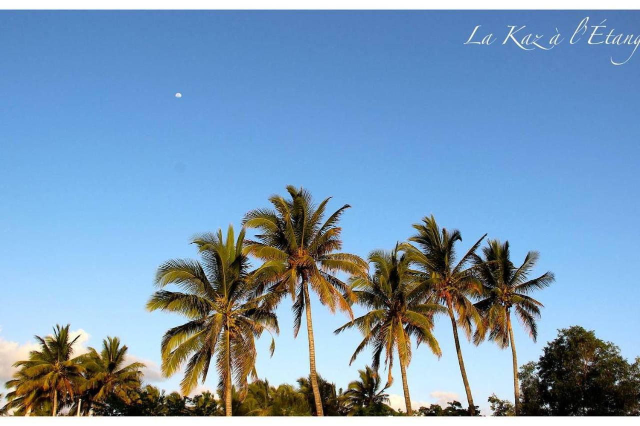 La Kaz A L'Etang - Votre Location De Vacances A L'Ile De La Reunion Сен-Луи Экстерьер фото